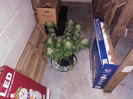 Click image for larger version

Name:	20181109_065416.jpg
Views:	239
Size:	2.40 MB
ID:	266212