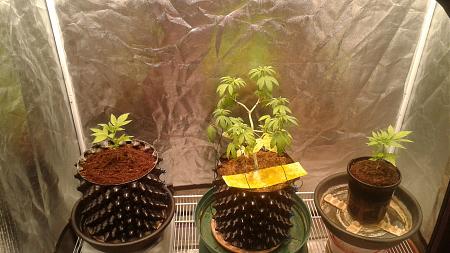 Click image for larger version

Name:	20181103_190019.jpg
Views:	271
Size:	772.1 KB
ID:	264320