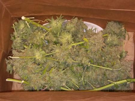 Click image for larger version

Name:	20181027_094107.jpg
Views:	265
Size:	1.78 MB
ID:	261792