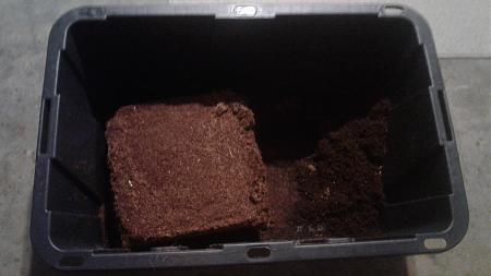 Click image for larger version

Name:	20181028_072140.jpg
Views:	258
Size:	483.8 KB
ID:	264321