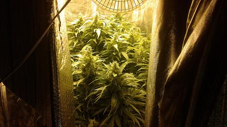 Click image for larger version

Name:	20181008_065505.jpg
Views:	267
Size:	713.2 KB
ID:	256275