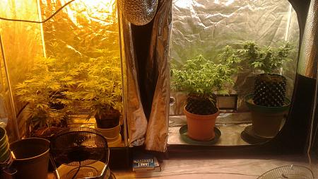 Click image for larger version

Name:	20181201_185857.jpg
Views:	242
Size:	782.9 KB
ID:	271841