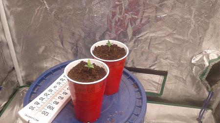 Click image for larger version

Name:	20181021_065141.jpg
Views:	239
Size:	878.9 KB
ID:	259751