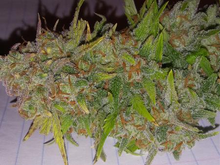 Click image for larger version

Name:	20181027_094007.jpg
Views:	263
Size:	3.20 MB
ID:	261793