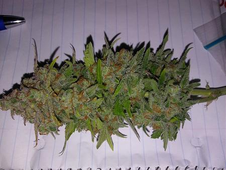 Click image for larger version

Name:	20181027_094210.jpg
Views:	237
Size:	3.18 MB
ID:	261795