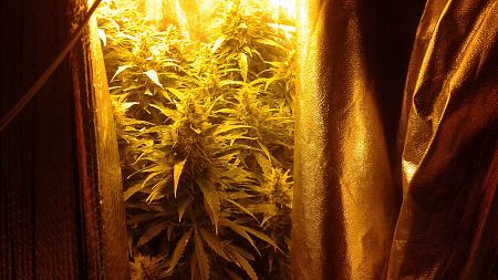 Click image for larger version

Name:	20181013_121503.jpg
Views:	274
Size:	825.8 KB
ID:	257935