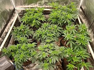 Click image for larger version

Name:	20260213_174404.jpg
Views:	9
Size:	4.09 MB
ID:	663037