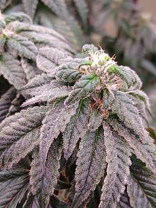 Click image for larger version

Name:	20260213_172442.jpg
Views:	9
Size:	2.76 MB
ID:	663038