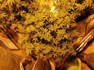 Click image for larger version

Name:	20181104_134848.jpg
Views:	296
Size:	3.47 MB
ID:	264756