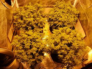 Click image for larger version

Name:	20181104_134835.jpg
Views:	284
Size:	3.97 MB
ID:	264754