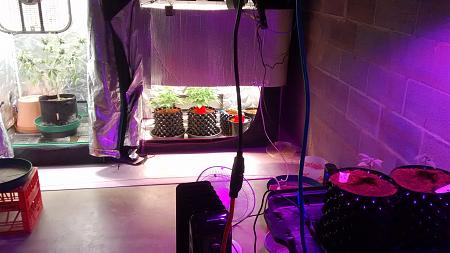 Click image for larger version

Name:	IMG_20180204_211332349.jpg
Views:	201
Size:	741.9 KB
ID:	171885