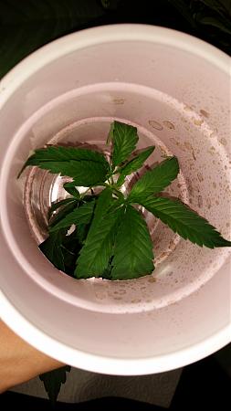 Click image for larger version

Name:	20200115_002923.jpg
Views:	492
Size:	2.20 MB
ID:	368320