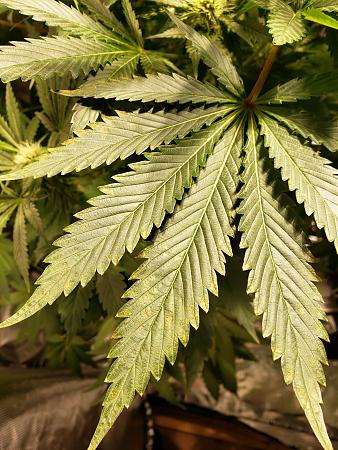 Click image for larger version

Name:	20190422_204928.jpg
Views:	339
Size:	3.23 MB
ID:	306692