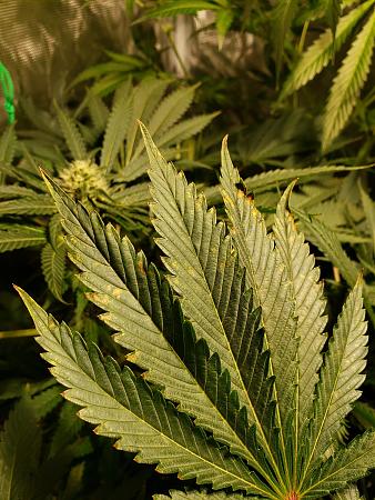 Click image for larger version

Name:	20190422_204900.jpg
Views:	318
Size:	3.18 MB
ID:	306693