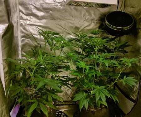 Click image for larger version

Name:	2020-04-06 12.22.02BCScaled.jpg
Views:	755
Size:	223.0 KB
ID:	392181