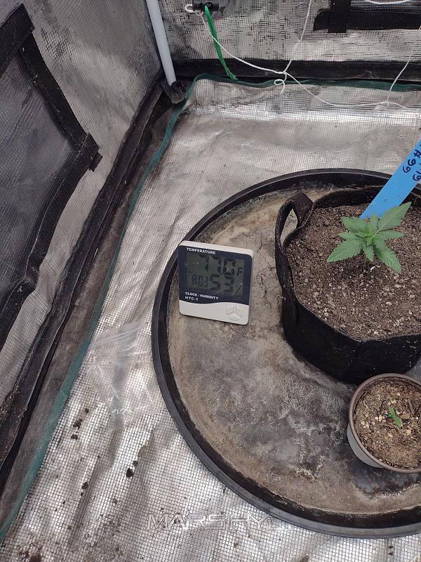 Click image for larger version

Name:	17713639443793475505900934150058.jpg
Views:	39
Size:	4.01 MB
ID:	663070