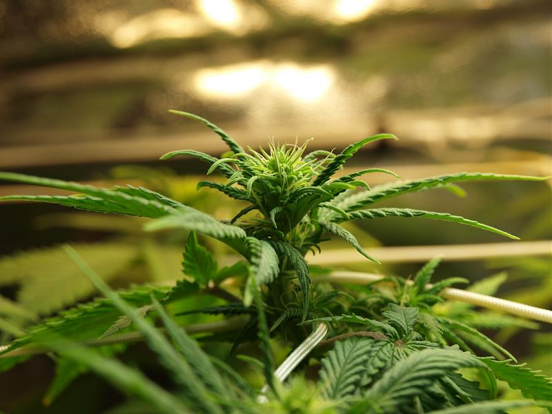 Click image for larger version

Name:	14.12.18 #5.JPG
Views:	229
Size:	1.40 MB
ID:	278146