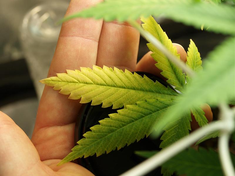 Click image for larger version

Name:	22.12.18 #7.JPG
Views:	247
Size:	1.40 MB
ID:	278165