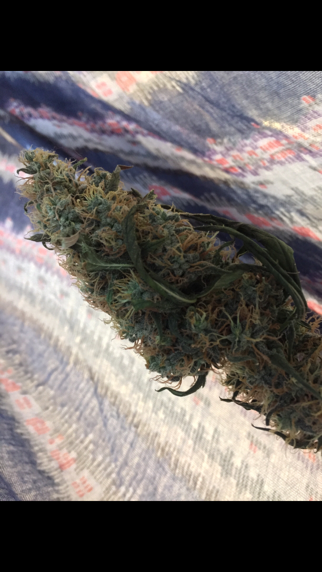 Click image for larger version

Name:	IMG_2051.PNG
Views:	120
Size:	880.7 KB
ID:	99767