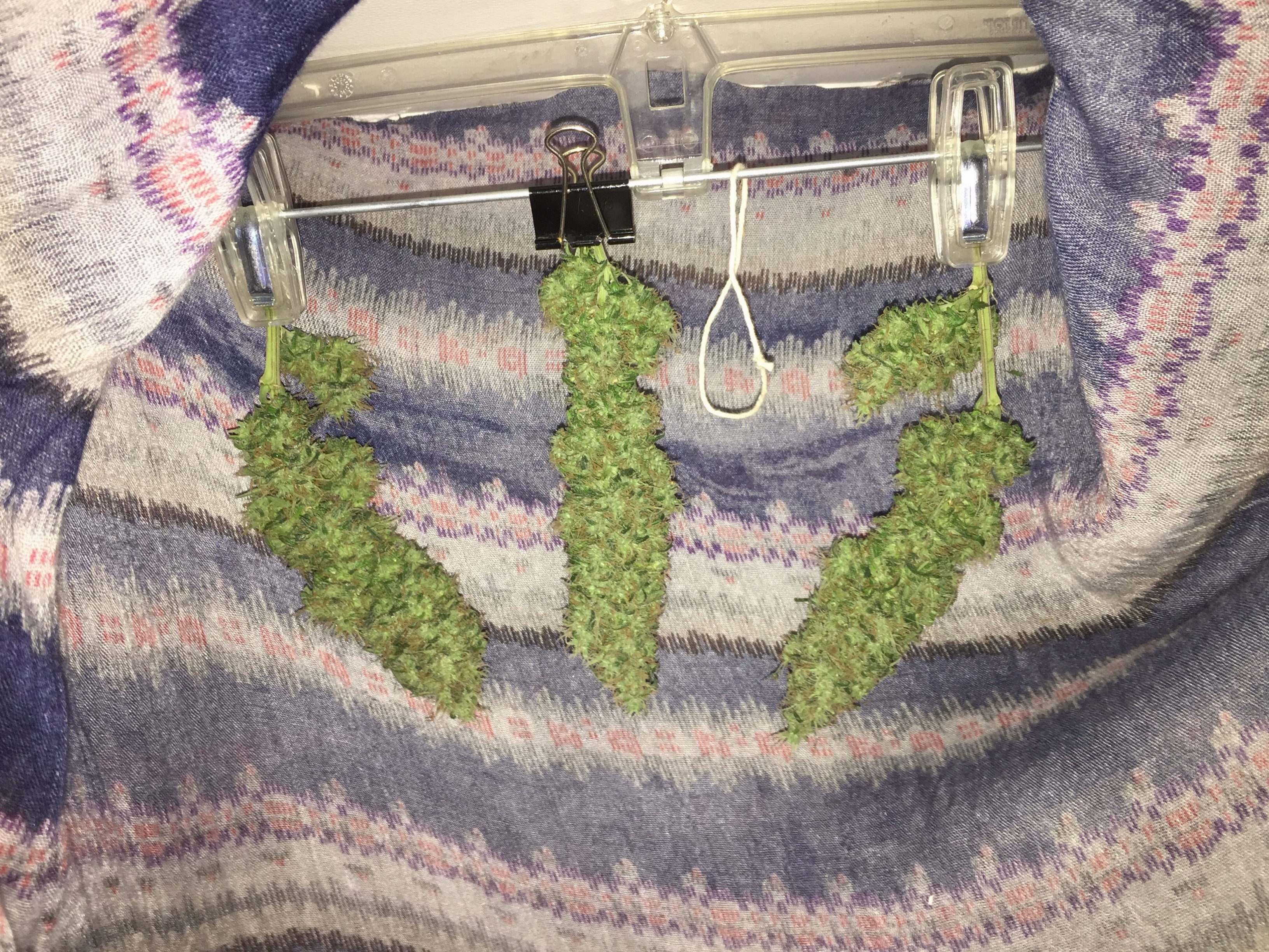 Click image for larger version

Name:	IMG_6264.jpg
Views:	159
Size:	6.04 MB
ID:	101503