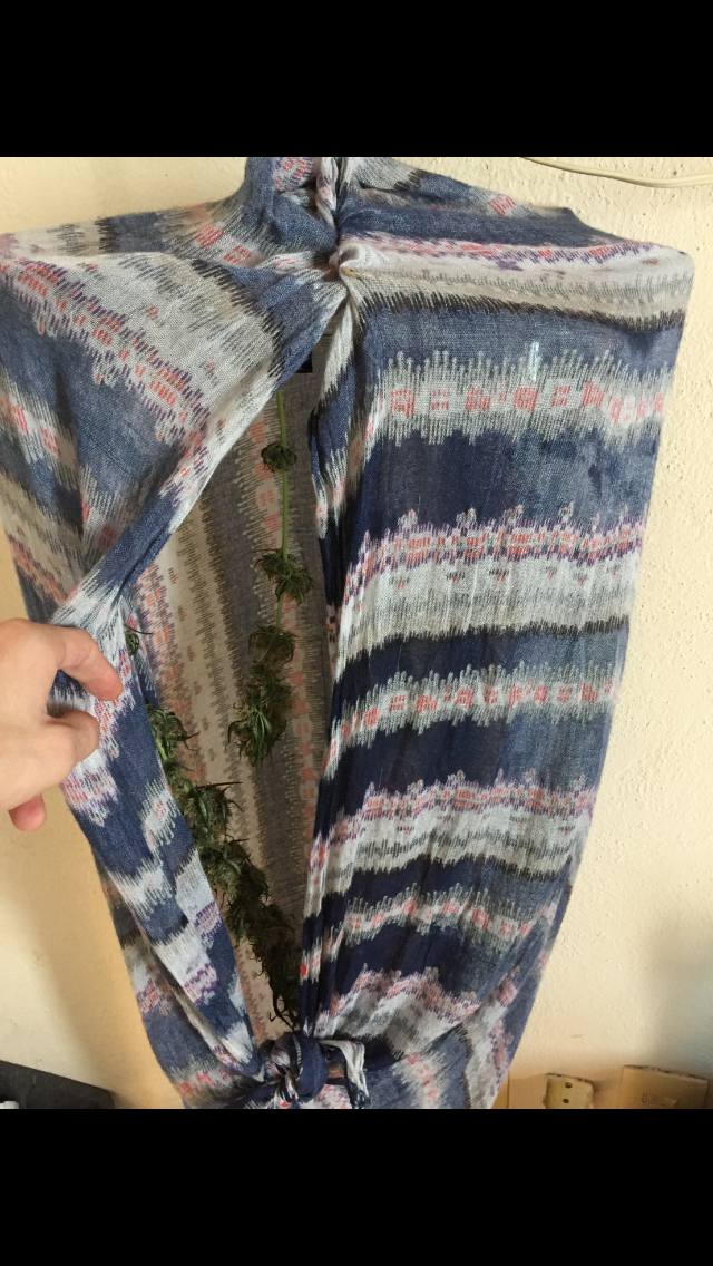 Click image for larger version

Name:	IMG_2050.PNG
Views:	113
Size:	1.04 MB
ID:	99766