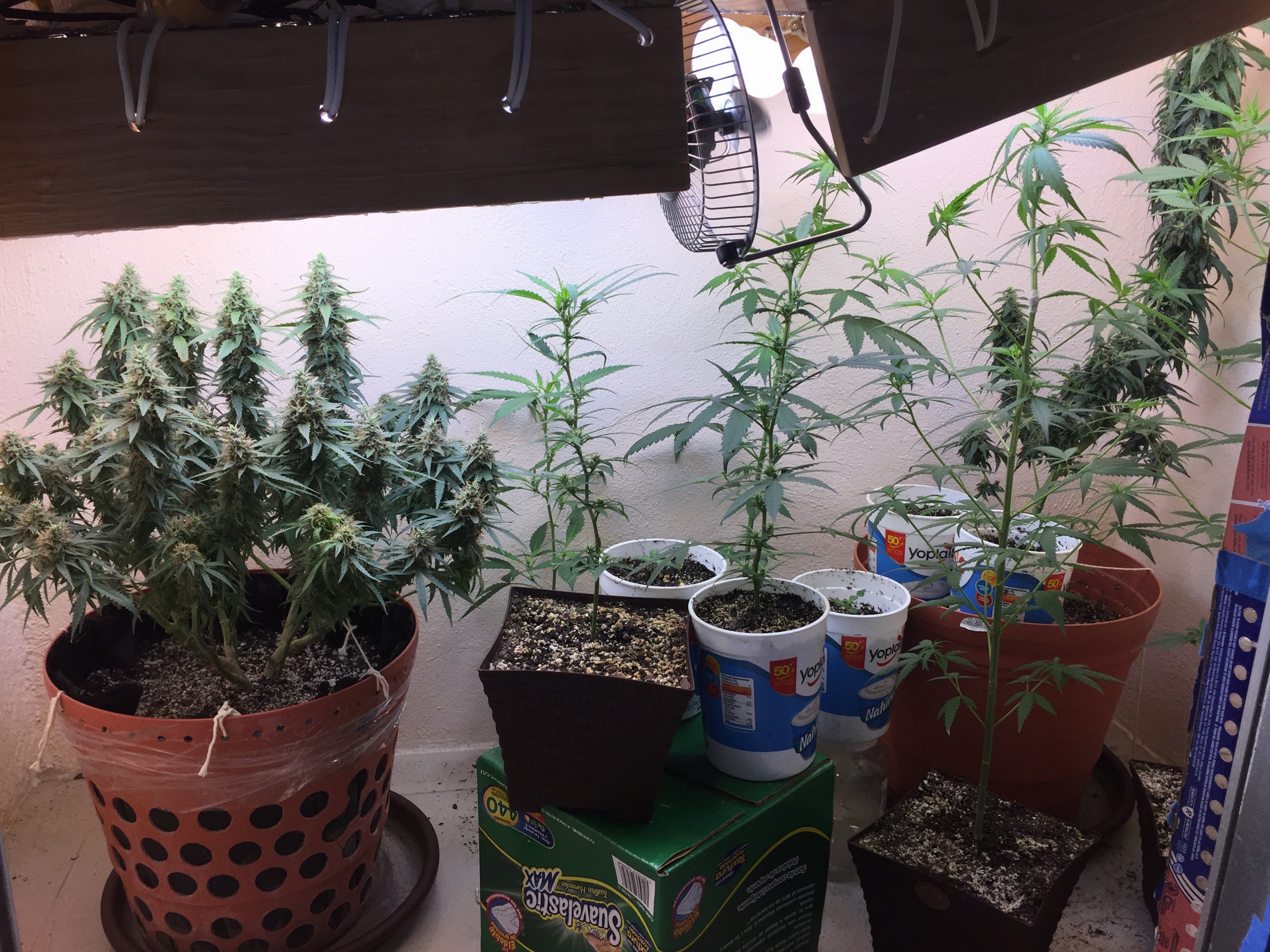 Click image for larger version

Name:	IMG_6301.jpg
Views:	132
Size:	4.82 MB
ID:	103237