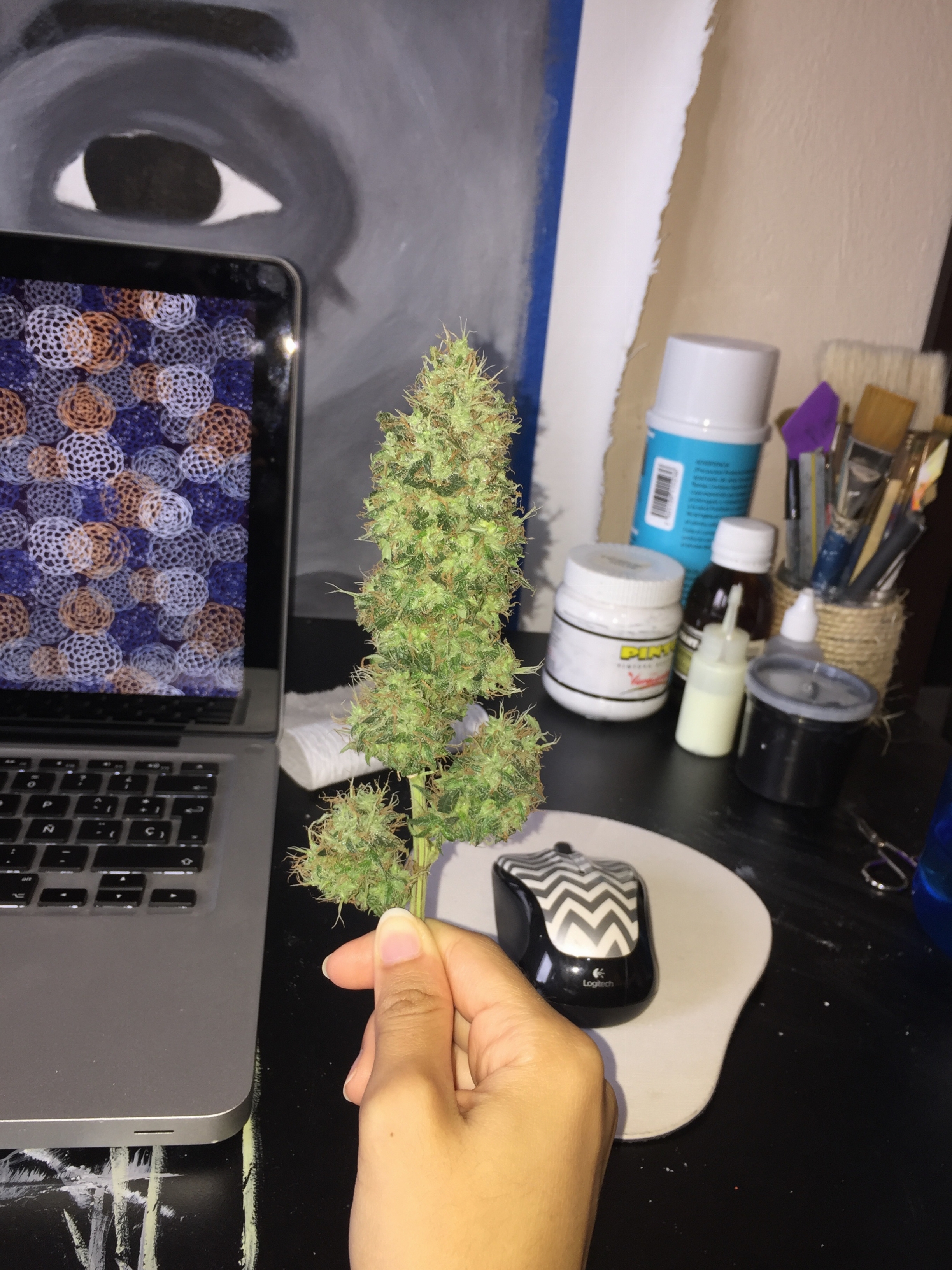 Click image for larger version

Name:	IMG_6254.jpg
Views:	283
Size:	3.94 MB
ID:	101495