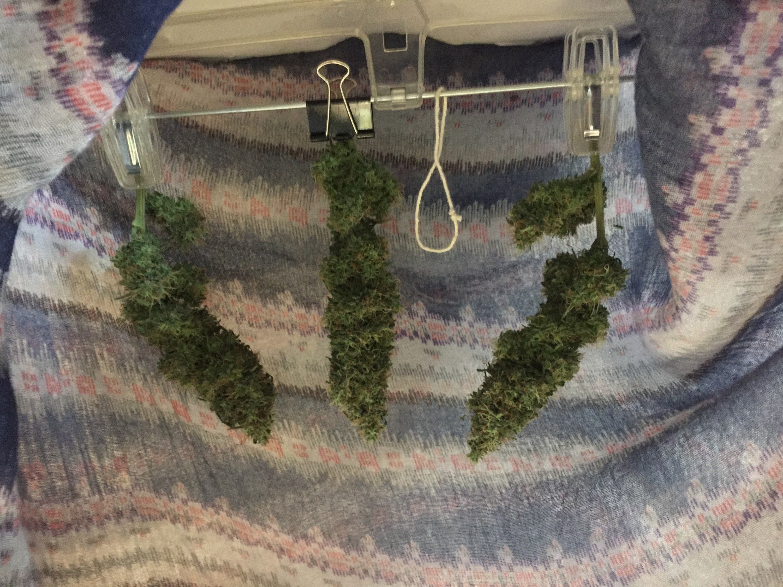 Click image for larger version

Name:	IMG_6265.jpg
Views:	136
Size:	5.31 MB
ID:	101500