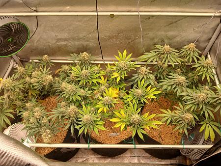 Click image for larger version

Name:	20260221_121814.jpg
Views:	177
Size:	4.94 MB
ID:	663214