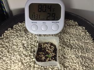 Click image for larger version

Name:	IMG_1555.JPG
Views:	527
Size:	2.71 MB
ID:	51368