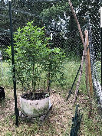 Click image for larger version

Name:	IMG_4353.jpg
Views:	10
Size:	6.45 MB
ID:	663288