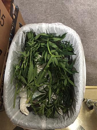 Click image for larger version

Name:	IMG_0466.JPG
Views:	292
Size:	546.8 KB
ID:	399520