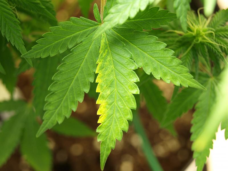 Click image for larger version

Name:	19.12.18 #3.JPG
Views:	209
Size:	1.56 MB
ID:	278155