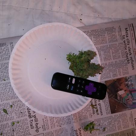 Click image for larger version

Name:	20170220_091115.jpg
Views:	199
Size:	4.21 MB
ID:	58854