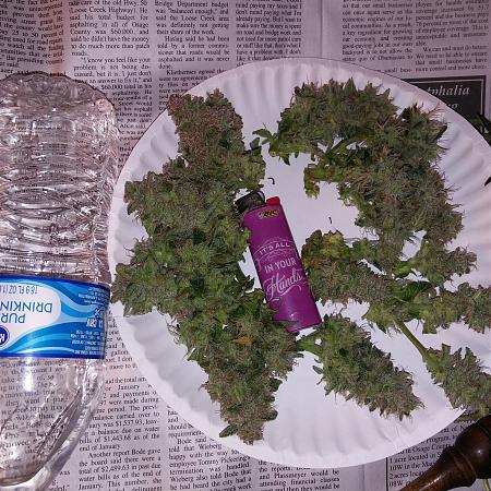 Click image for larger version

Name:	20170220_090359.jpg
Views:	188
Size:	6.48 MB
ID:	58853