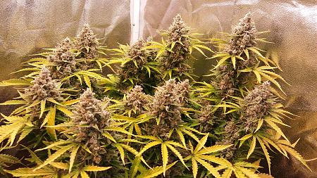 Click image for larger version

Name:	20180330_191210.jpg
Views:	239
Size:	3.85 MB
ID:	191327