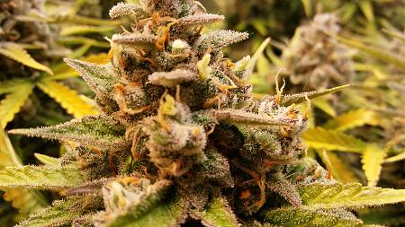 Click image for larger version

Name:	20180330_191314.jpg
Views:	240
Size:	2.31 MB
ID:	191326