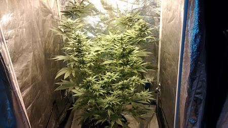 Click image for larger version

Name:	IMG_20180322_190126608.jpg
Views:	270
Size:	960.7 KB
ID:	188586