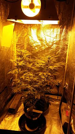 Click image for larger version

Name:	20180313_190249.jpg
Views:	246
Size:	2.60 MB
ID:	185754