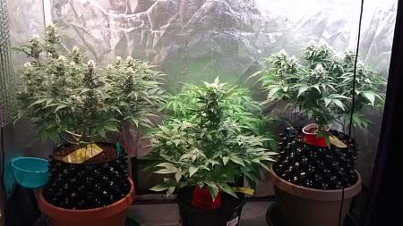 Click image for larger version

Name:	IMG_20180304_181057923.jpg
Views:	281
Size:	989.1 KB
ID:	186949