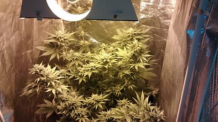 Click image for larger version

Name:	IMG_20180327_185846225.jpg
Views:	252
Size:	1.07 MB
ID:	190181