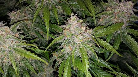 Click image for larger version

Name:	20180313_190727.jpg
Views:	260
Size:	3.07 MB
ID:	185751