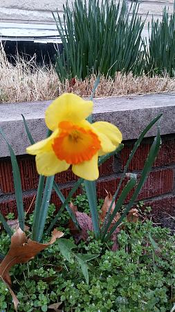 Click image for larger version

Name:	20180328_113237.jpg
Views:	279
Size:	2.68 MB
ID:	191337