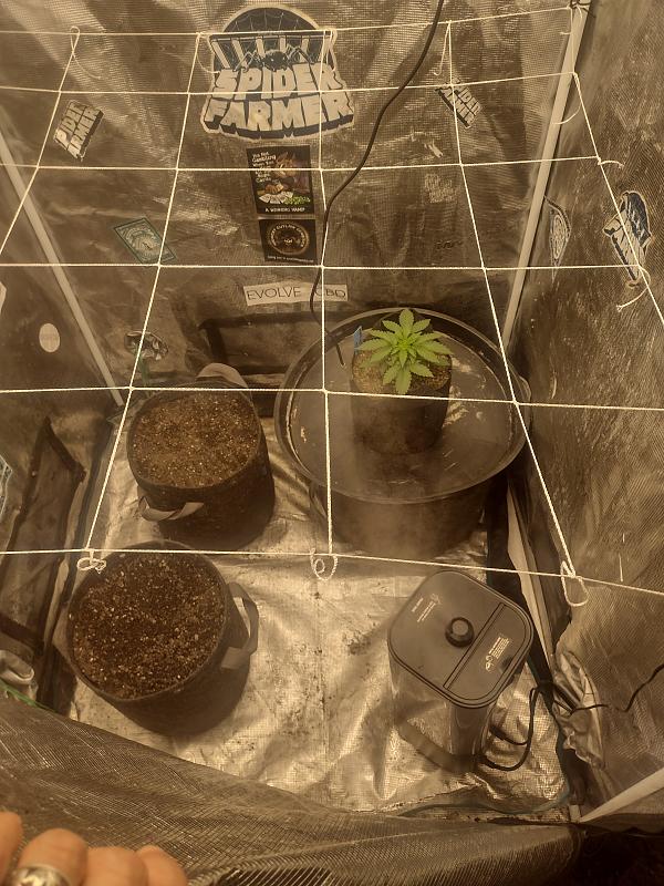 Click image for larger version

Name:	IMG_20260225_090247573_HDR.jpg
Views:	21
Size:	3.21 MB
ID:	663392