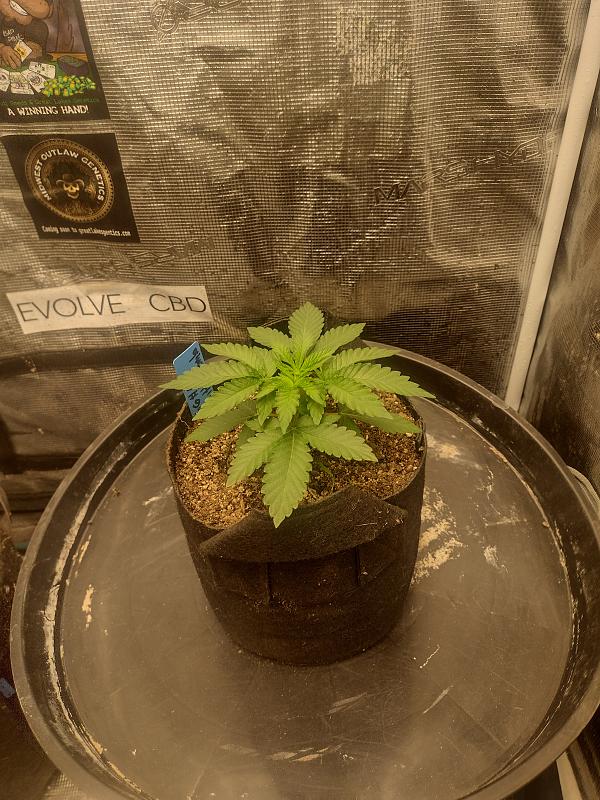 Click image for larger version

Name:	IMG_20260225_090300975_HDR.jpg
Views:	22
Size:	3.69 MB
ID:	663393