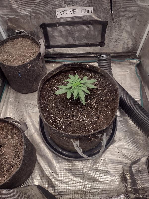 Click image for larger version

Name:	IMG_20260225_132846274_HDR.jpg
Views:	0
Size:	3.34 MB
ID:	663512