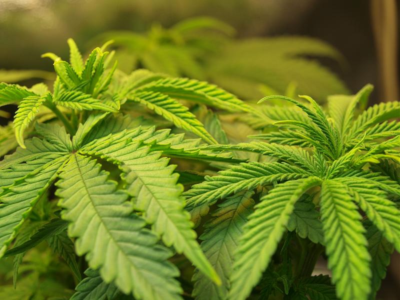 Click image for larger version

Name:	30.11.18 #6.JPG
Views:	229
Size:	1.56 MB
ID:	273477