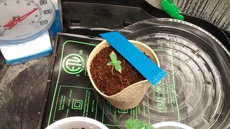 Click image for larger version

Name:	IMG_20180128_122136704.jpg
Views:	222
Size:	917.8 KB
ID:	169809