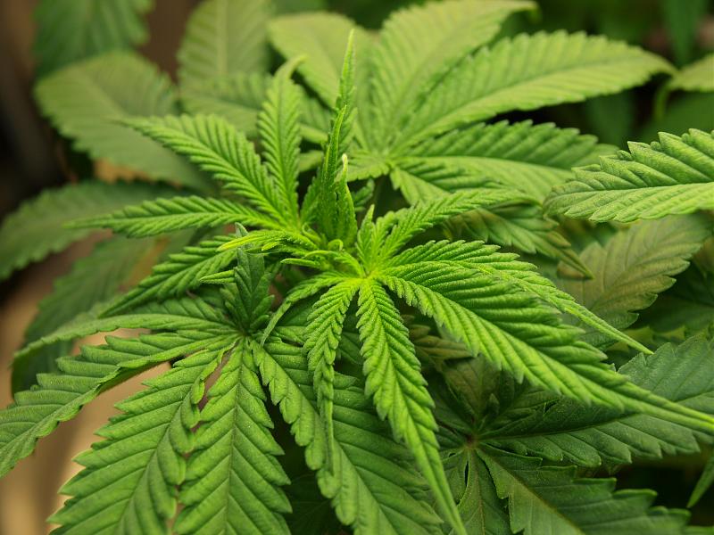 Click image for larger version

Name:	30.11.18 #5.JPG
Views:	228
Size:	1.65 MB
ID:	273476