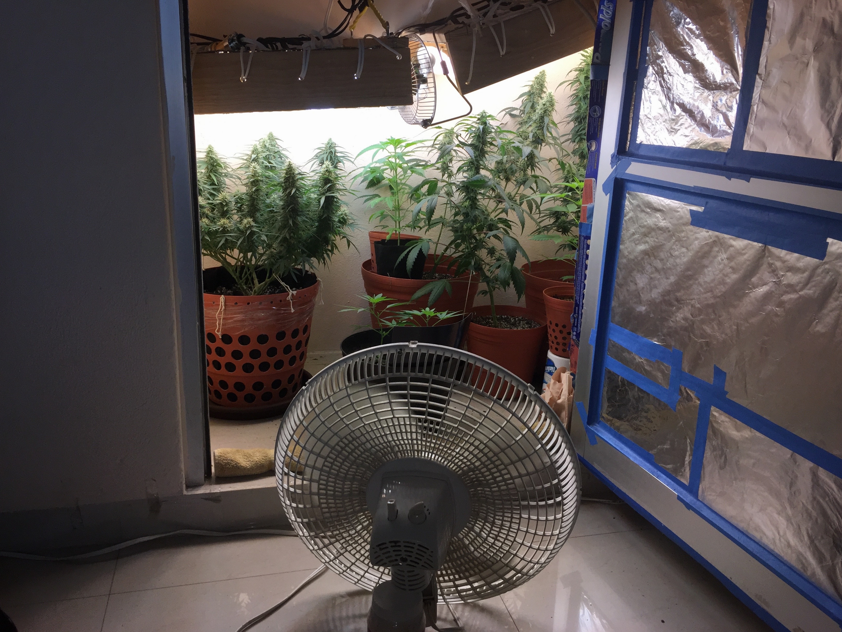 Click image for larger version

Name:	IMG_6087.jpg
Views:	294
Size:	4.66 MB
ID:	96534